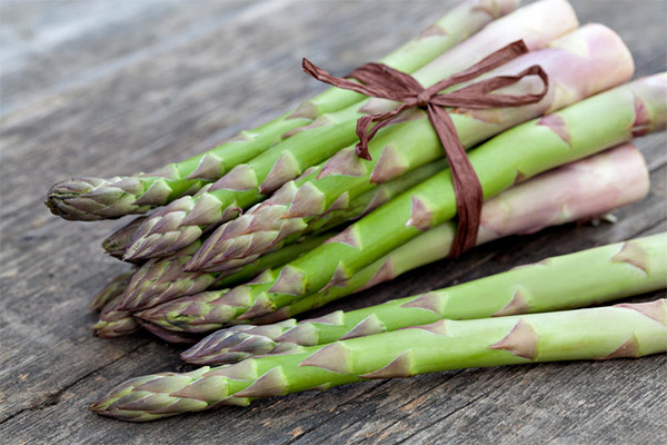 Fordelene og skadene med asparges
