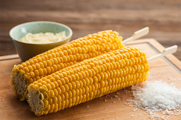 Fordelene og skadene med kokt mais