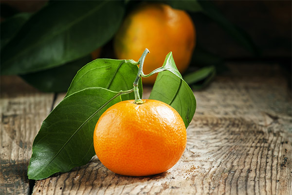 Rezepte für traditionelle Medizin auf Mandarinenbasis