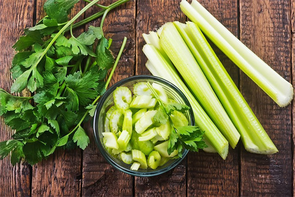 Recepti tradicionalne medicine na bazi celera