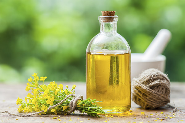 L'huile de safran en médecine