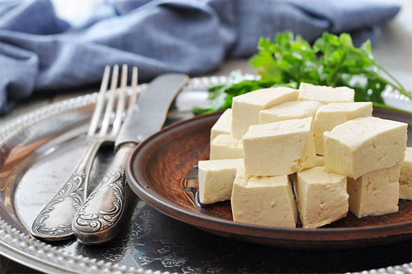 What to eat tofu cheese with