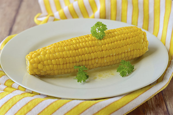 How much boiled corn can I eat per day