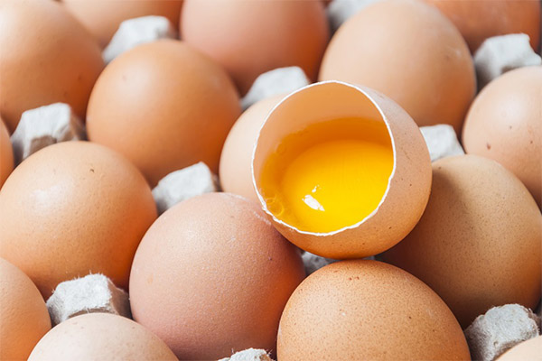 Hållbarhet för råa ägg