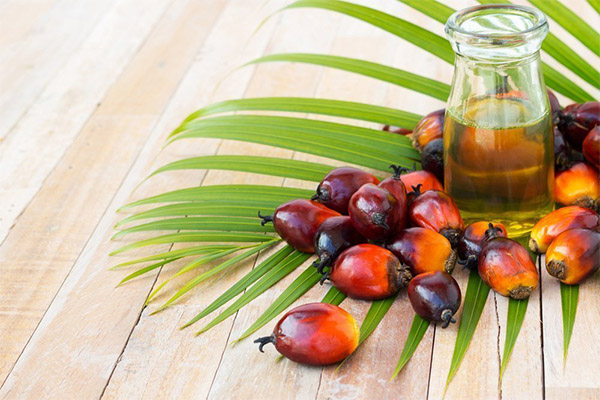 Quais alimentos contêm óleo de palma