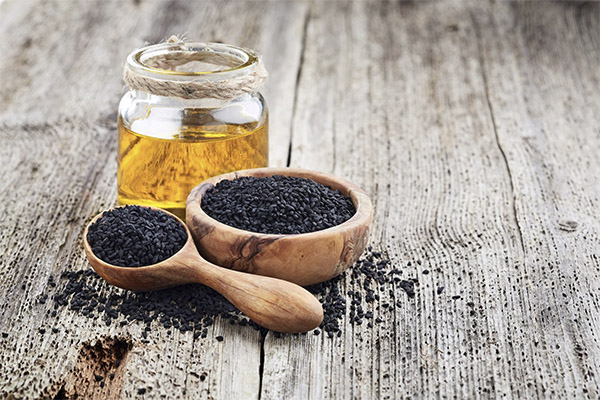 Harm and contraindications for black cumin oil