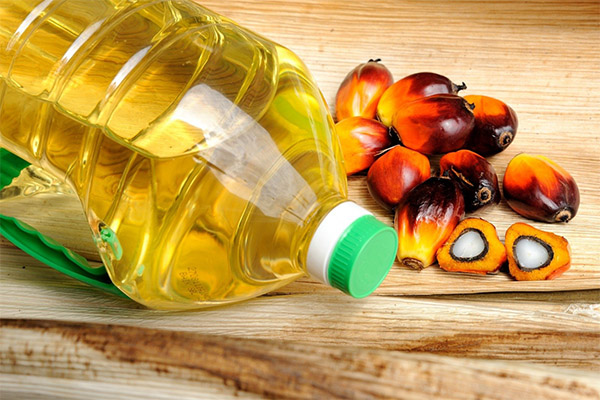 Danos e contra-indicações para o óleo de palma