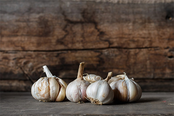 Garlic in cosmetology