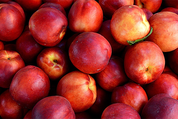 Interesting facts about nectarine