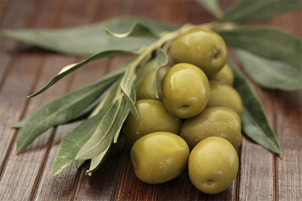 Mielenkiintoisia faktoja oliiveista