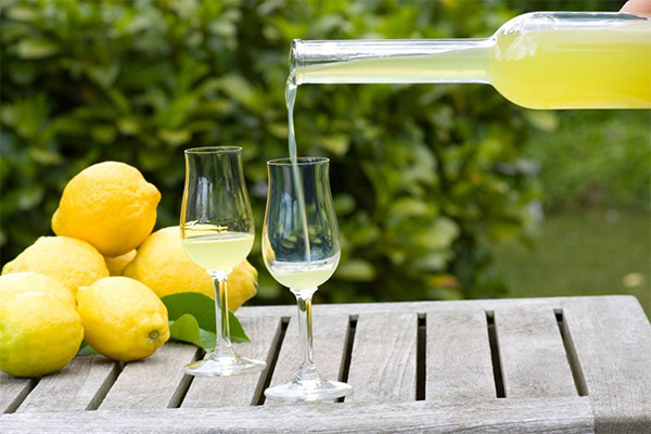 Cách uống limoncello