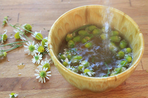 Cara membuat infusi chamomile