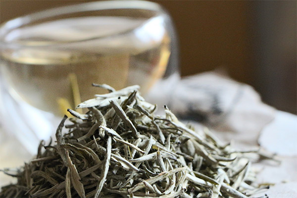 Comment choisir et conserver le thé blanc