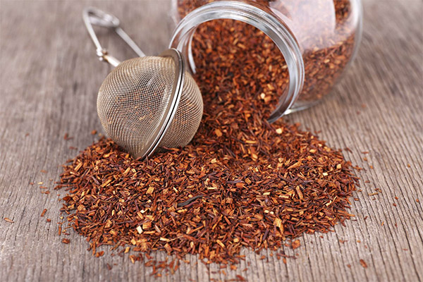 How to choose and store rooibos tea