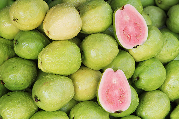كيفية اختيار وتخزين الجوافة
