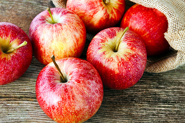 Sådan vælges og opbevares æbler