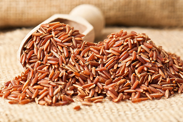 Как да изберем и съхраняваме червен ориз