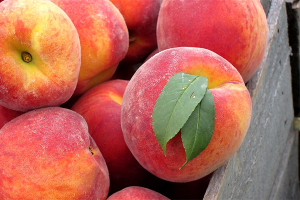 Hur man väljer och lagrar persikor