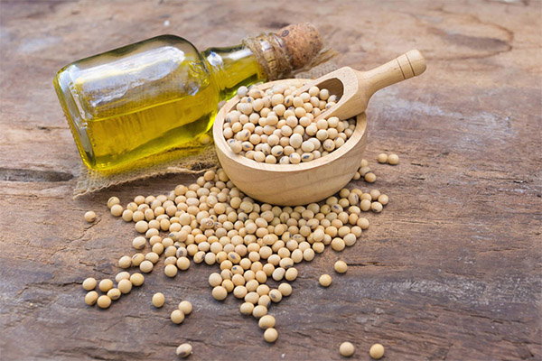 Cara memilih dan menyimpan minyak kacang soya