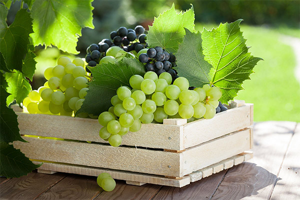 Kā izvēlēties un uzglabāt vīnogas
