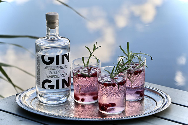 Gin-cocktaileja