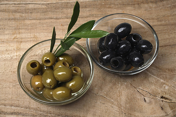 Olives (olives) en médecine