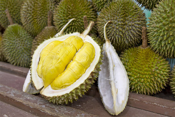 De gunstige egenskapene til durian