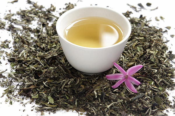 Useful properties of white tea