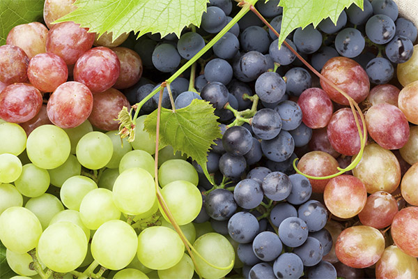 Nuttige eigenschappen van verschillende druivensoorten