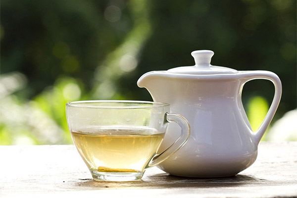 Výhody a poškození bílého čaje
