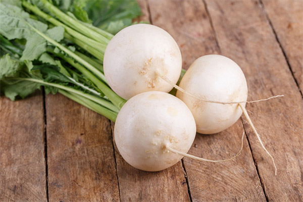 The benefits and harms of white radish