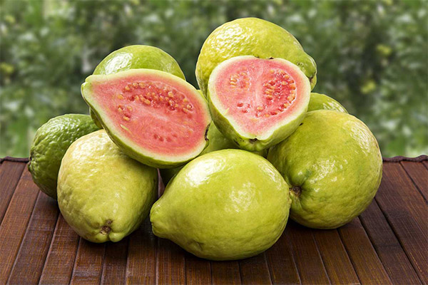 Fordelene og skadene ved guava