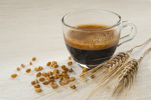 Fördelarna och skadorna av kornkaffe