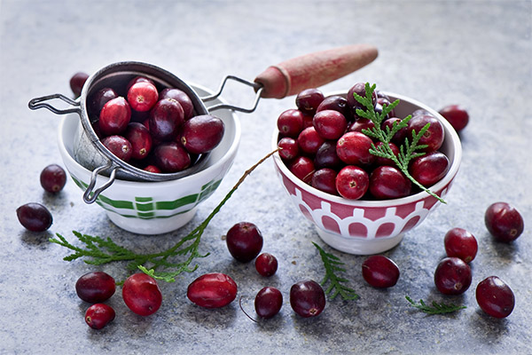 Os benefícios e malefícios dos cranberries