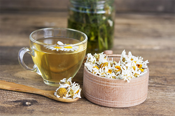 The benefits and harms of chamomile infusion