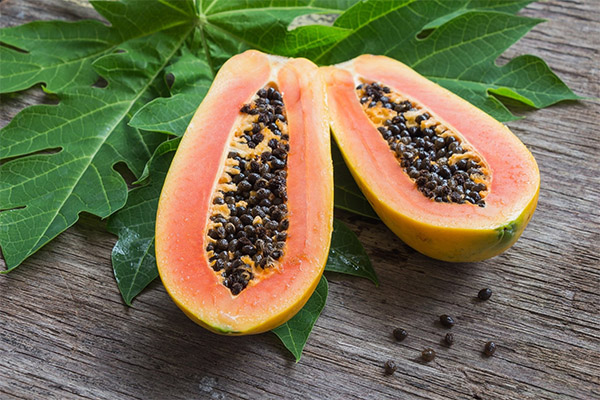 Fordelene og skadene med papaya