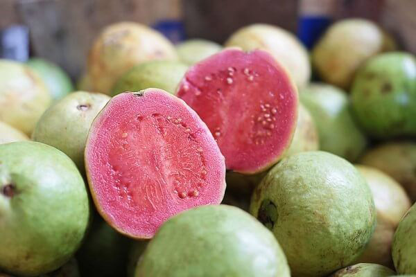 The use of guava in traditional medicine