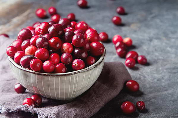 Rezepte für traditionelle Medizin auf Cranberry-Basis