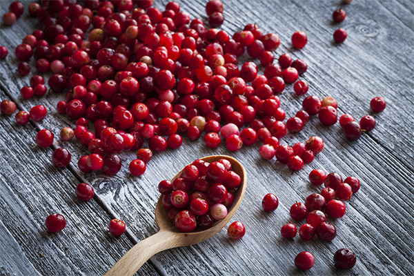 How much can you eat cranberries per day
