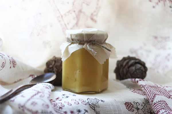 За какво е полезен горският мед?