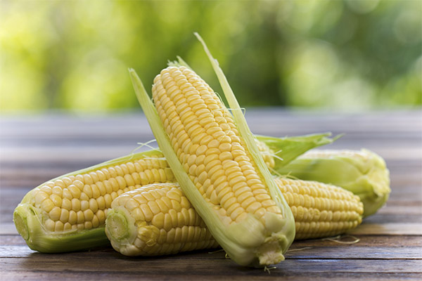 Čo je užitočné kukurica