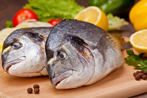 Yararlı dorado balığı nedir