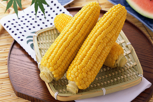 Co można ugotować z kukurydzy