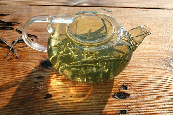 Kaip užvirinti ir gerti kudino arbatą