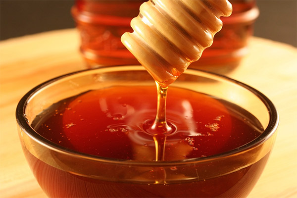 Jak brát kaštanový med pro léčebné účely