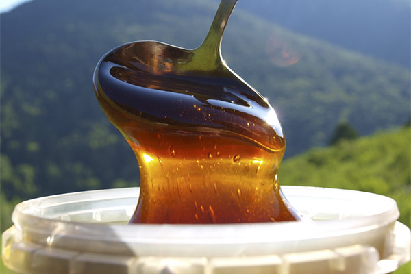 كيفية اختيار وتخزين العسل الجبلي