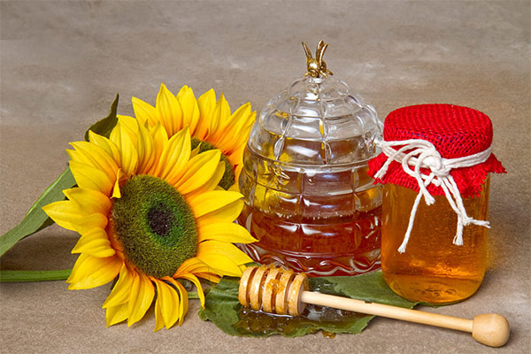 Како одабрати и чувати мед од сунцокрета