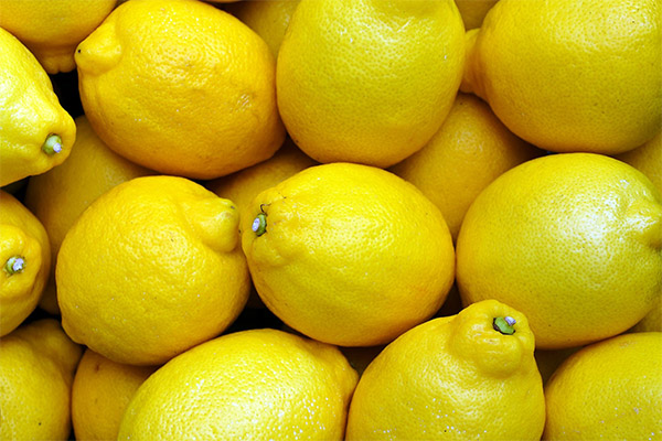 Jak si vybrat citron na čaj
