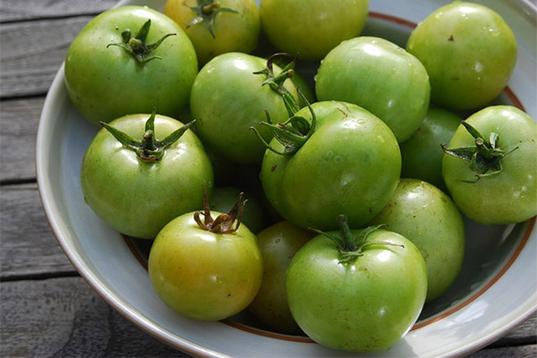 Onko mahdollista syödä vihreitä tomaatteja