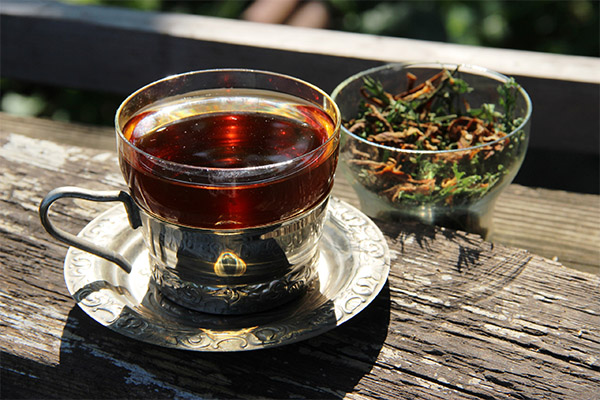 Milyen betegségekhez segít a sárgarépa tea?
